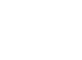 新たなビジネスモデルの創出